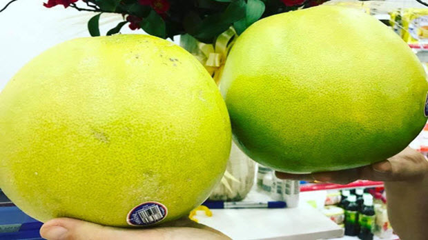  Ham của lạ, dân Việt ăn bưởi Mỹ giá nửa triệu đồng/quả